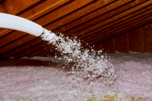 Best Residential Insulation in St Gabriel, LA