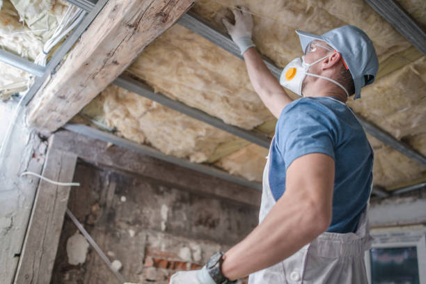 Best Insulation for Specific Applications in St Gabriel, LA