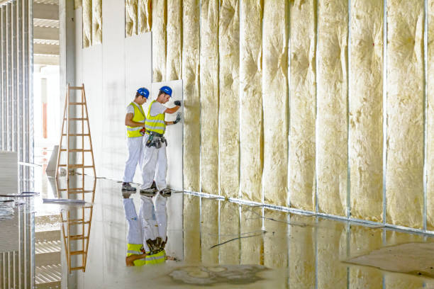 Best Insulation for Specific Applications in St Gabriel, LA